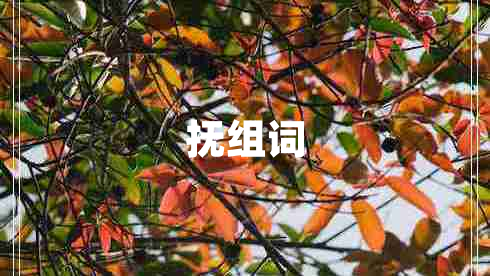 撫組詞 撫組詞