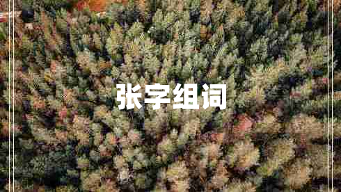 張字組詞