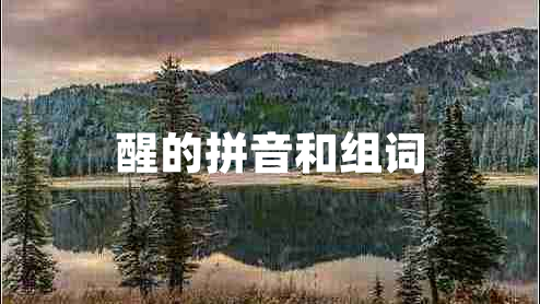 醒的拼音和組詞