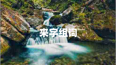 來字組詞