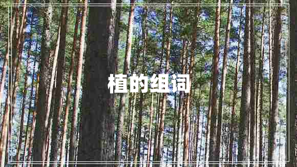 植的組詞