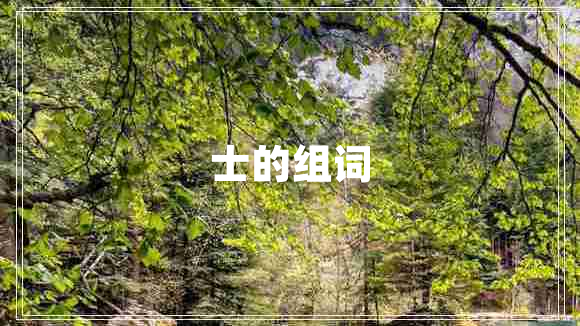 士的組詞 士的組詞