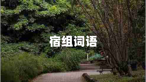 宿組詞語(yǔ) 宿組詞語(yǔ)