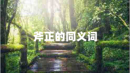 斧正的同義詞 斧正的同義詞