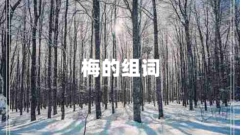 梅的組詞 梅的組詞