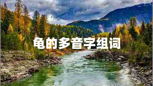 龜?shù)亩嘁糇纸M詞