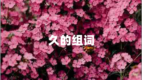 久的組詞 久的組詞