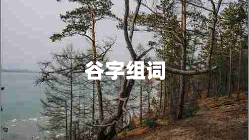 谷字組詞