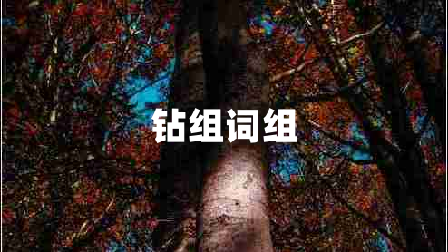 鉆組詞組 鉆組詞組