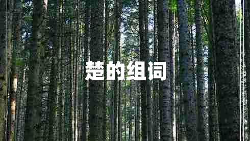 楚的組詞 楚的組詞