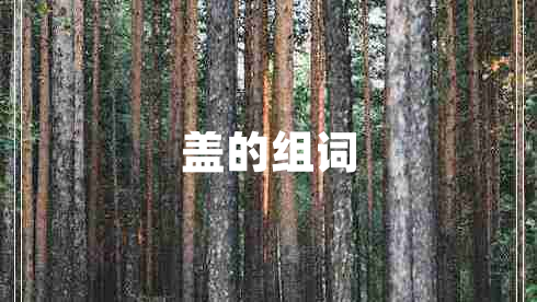 蓋的組詞 蓋的組詞