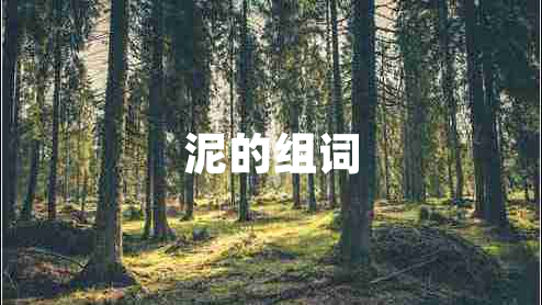 泥的組詞 泥的組詞