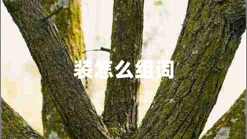 裝怎么組詞