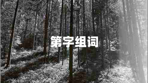 第字組詞