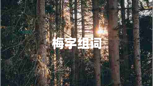 梅字組詞 梅字組詞