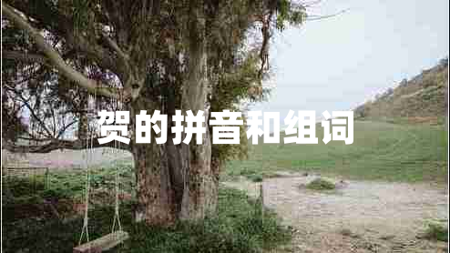 賀的拼音和組詞