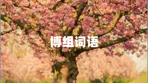 博組詞語 博組詞語