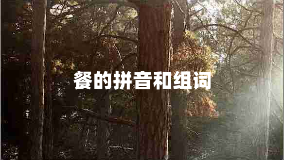 餐的拼音和組詞