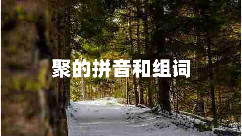 聚的拼音和組詞