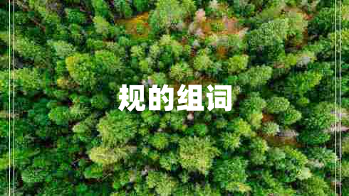 規(guī)的組詞