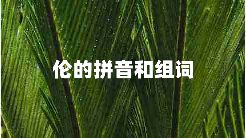 倫的拼音和組詞