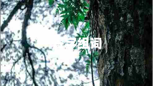 寄字組詞 寄字組詞