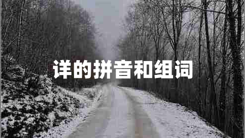 詳?shù)钠匆艉徒M詞