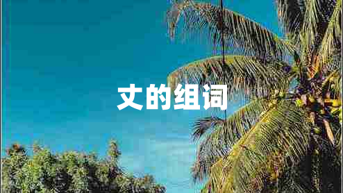丈的組詞