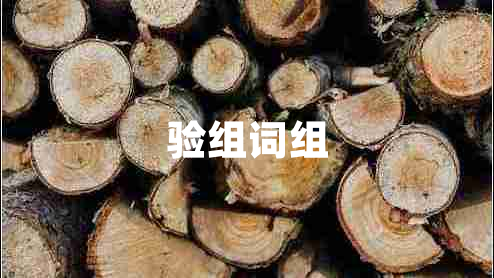 驗組詞組 驗組詞組