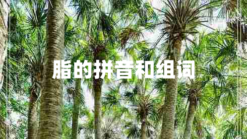 脂的拼音和組詞