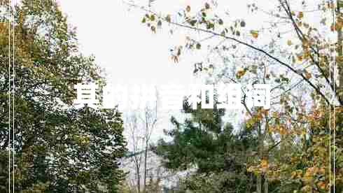 其的拼音和組詞