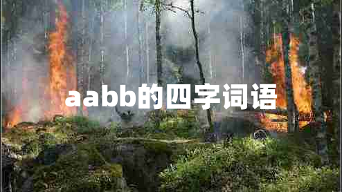 aabb的四字詞語