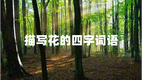 描寫花的四字詞語 描寫花的四字詞語