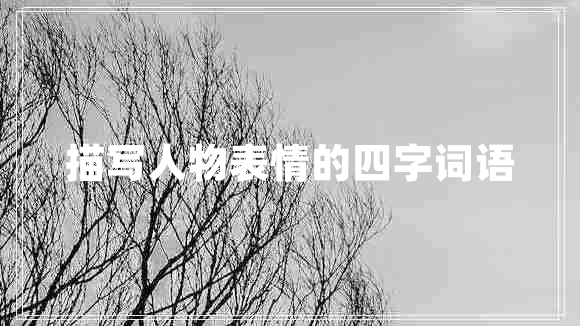 描寫人物表情的四字詞語