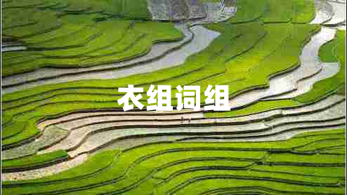 衣組詞組 衣組詞組