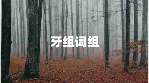 牙組詞組