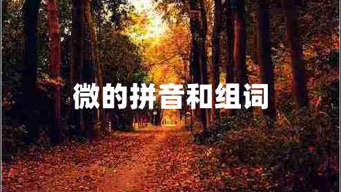 微的拼音和組詞 微的拼音和組詞