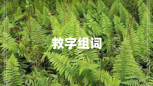 救字組詞 救字組詞