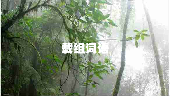 載組詞語 載組詞語