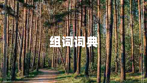 組詞詞典 組詞詞典