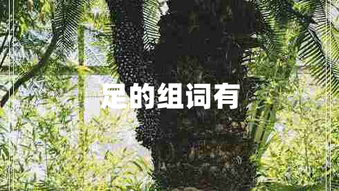 足的組詞有 足的組詞有