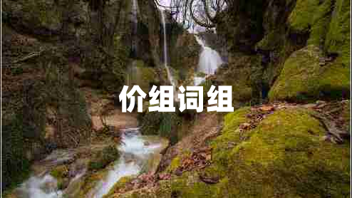 價(jià)組詞組 價(jià)組詞組