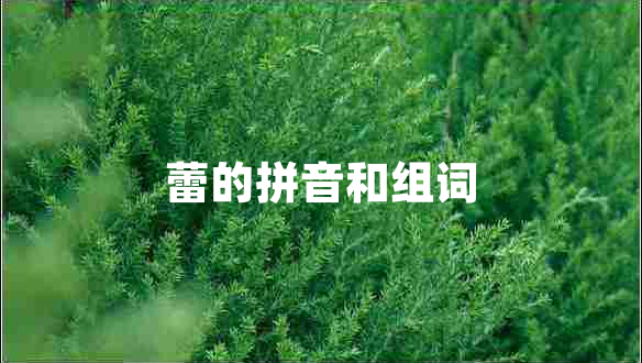 蕾的拼音和組詞