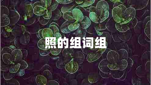 照的組詞組 照的組詞組