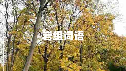 巖組詞語 巖組詞語