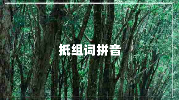 抵組詞拼音