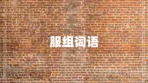 服組詞語 服組詞語