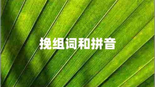挽組詞和拼音