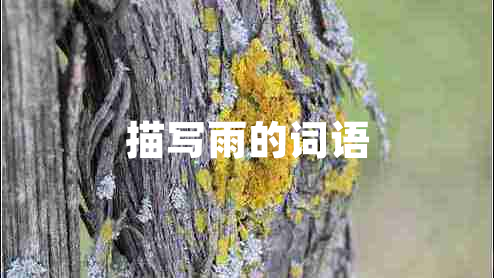 描寫雨的詞語 描寫雨的詞語