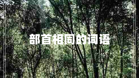 部首相同的詞語(yǔ)